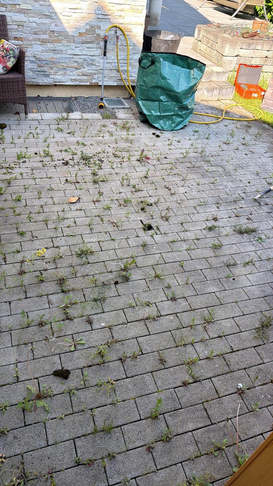 Terrassenreinigung & Unkrautentfernung in Karlsruhe – vorher
