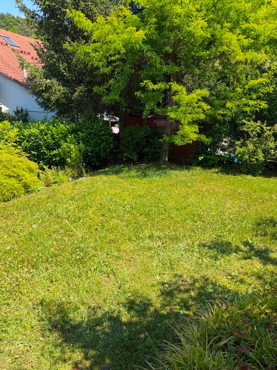 Garten- & Rasenpflege in Karlsruhe – vorher